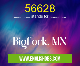 56628