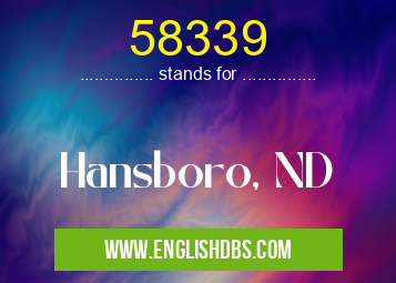 58339