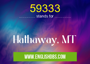 59333