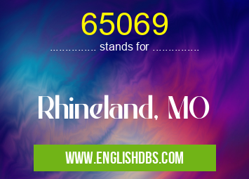 65069