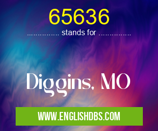 65636