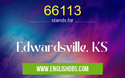 66113
