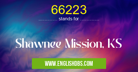 66223