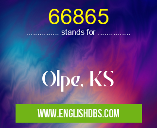 66865