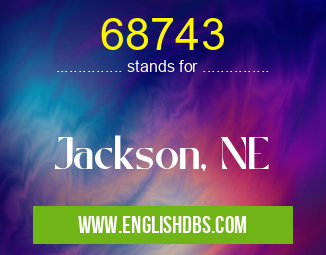 68743