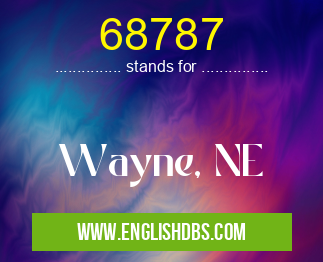 68787