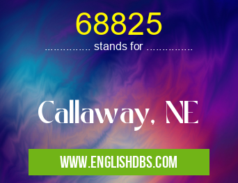 68825