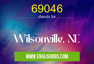 69046
