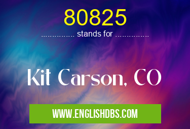 80825