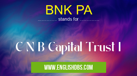 BNK PA