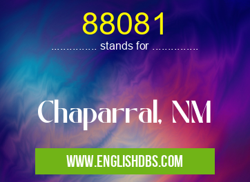 88081
