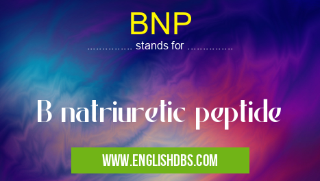 BNP