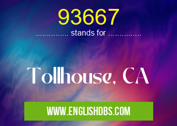 93667