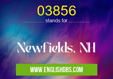 03856