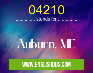 04210