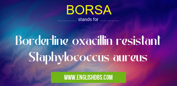 BORSA