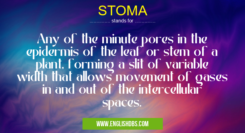 STOMA