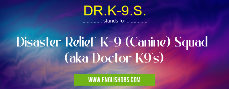 DR.K-9.S.